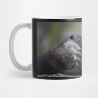 A Nom A Nom A Nom Mug